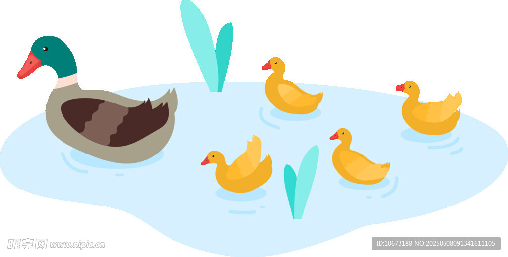 鸭妈妈带小鸭水中游