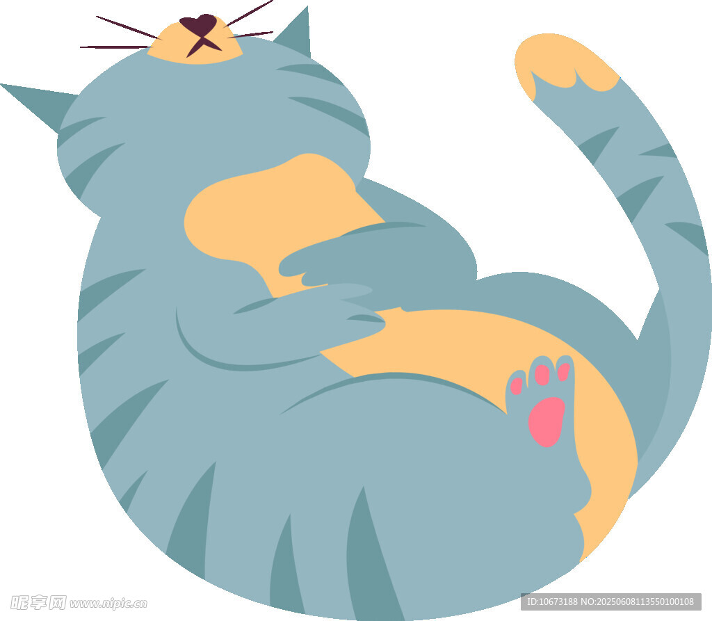 躺着的可爱猫咪