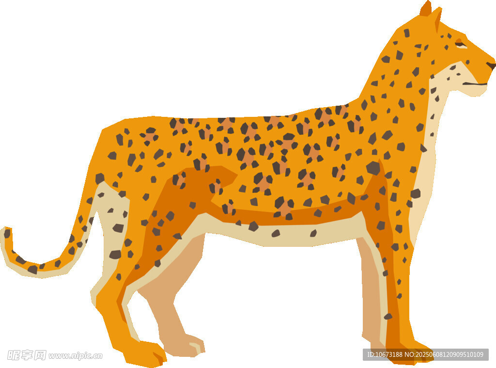 站立的猎豹插画