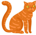 橙色条纹猫插画