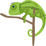 树枝上的变色龙插画