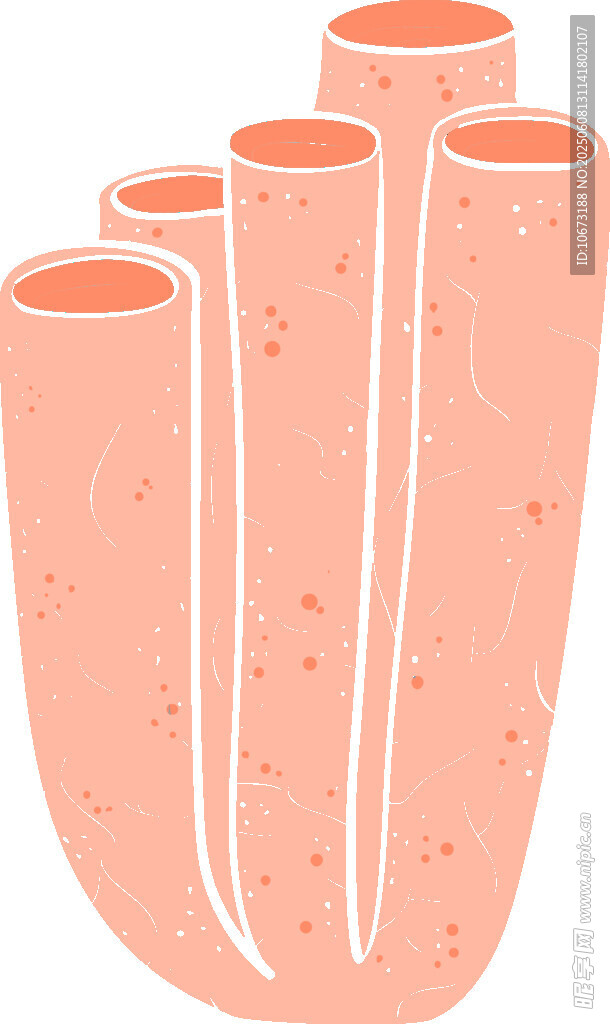 粉色管状物体插画