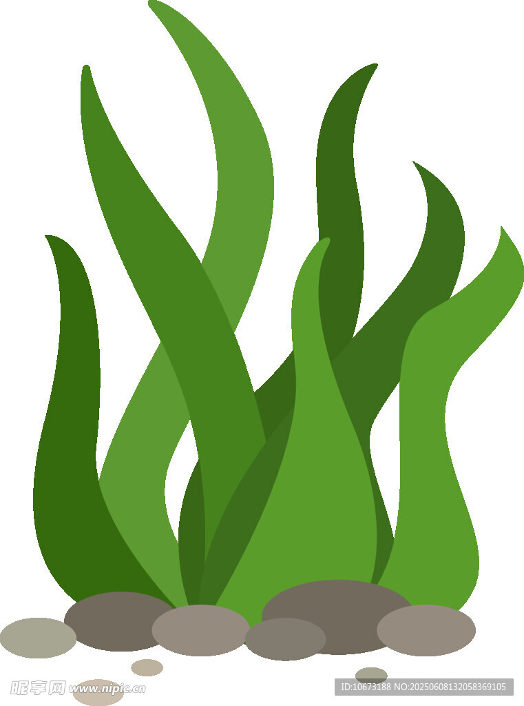 水底绿植与石头景观
