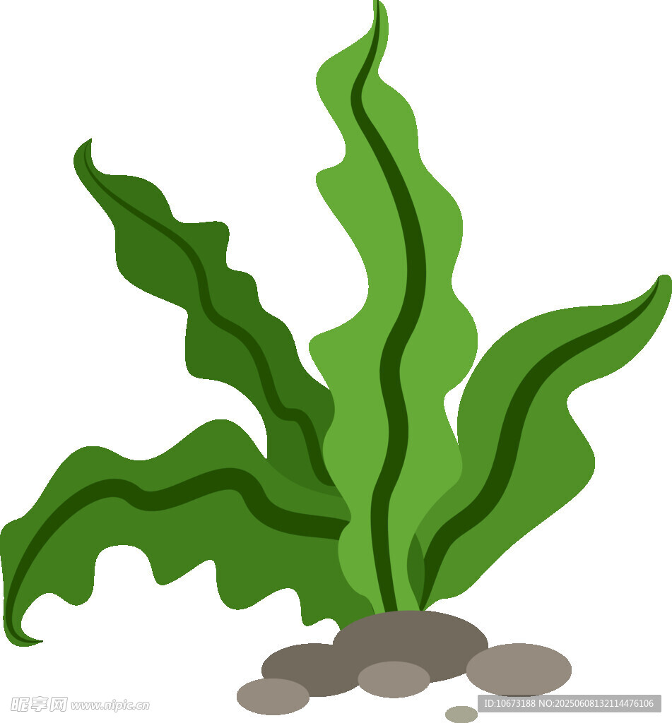水草与石的清新插画