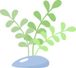 清新绿植插画