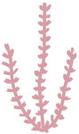 粉色枝状植物图案