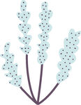 淡蓝斑点植物插画