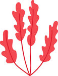 红色叶片植物插画