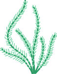 绿色植物枝叶矢量插画
