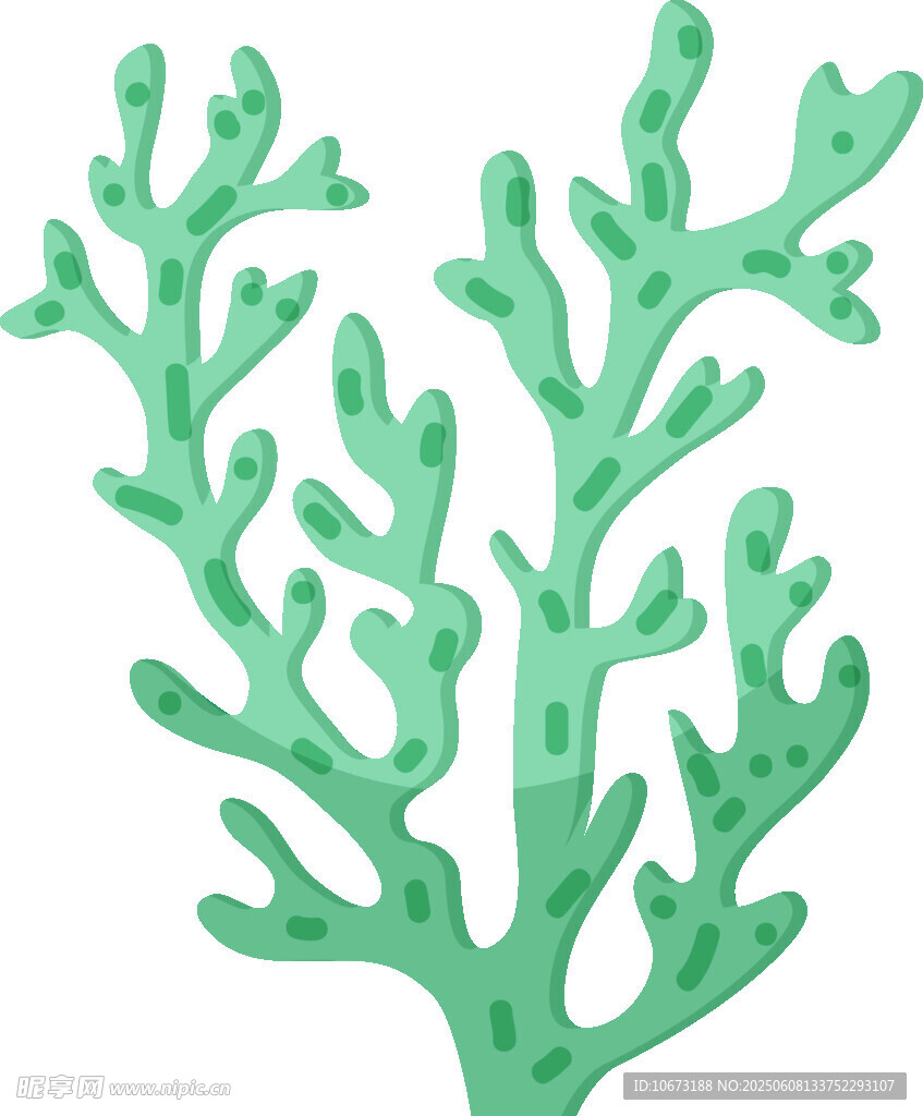 绿色珊瑚插画