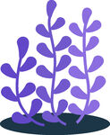 紫色植物插画