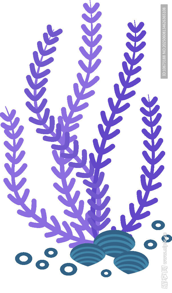 紫色海草插画