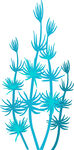 蓝色植物插画
