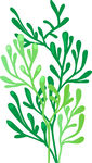 清新绿植枝叶插画