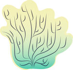 简约海草图案插画