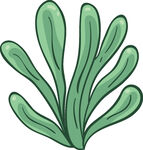 手绘绿色海草插画