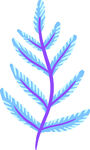 蓝色羽状植物插画