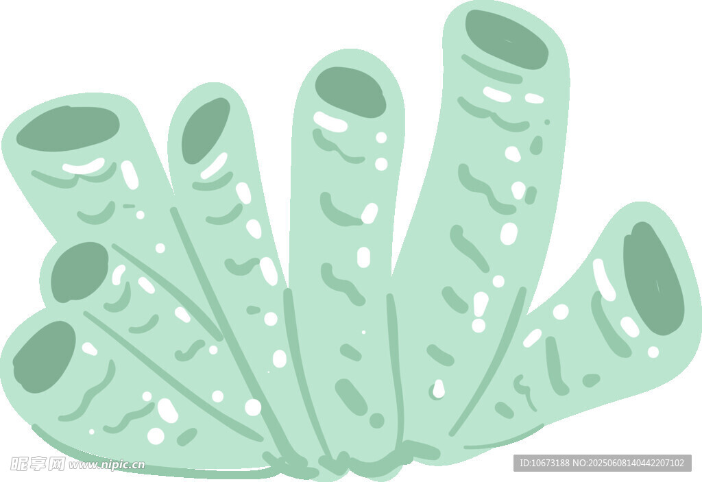 浅绿色管状珊瑚插画