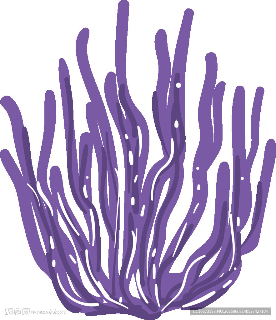 紫色海葵插画