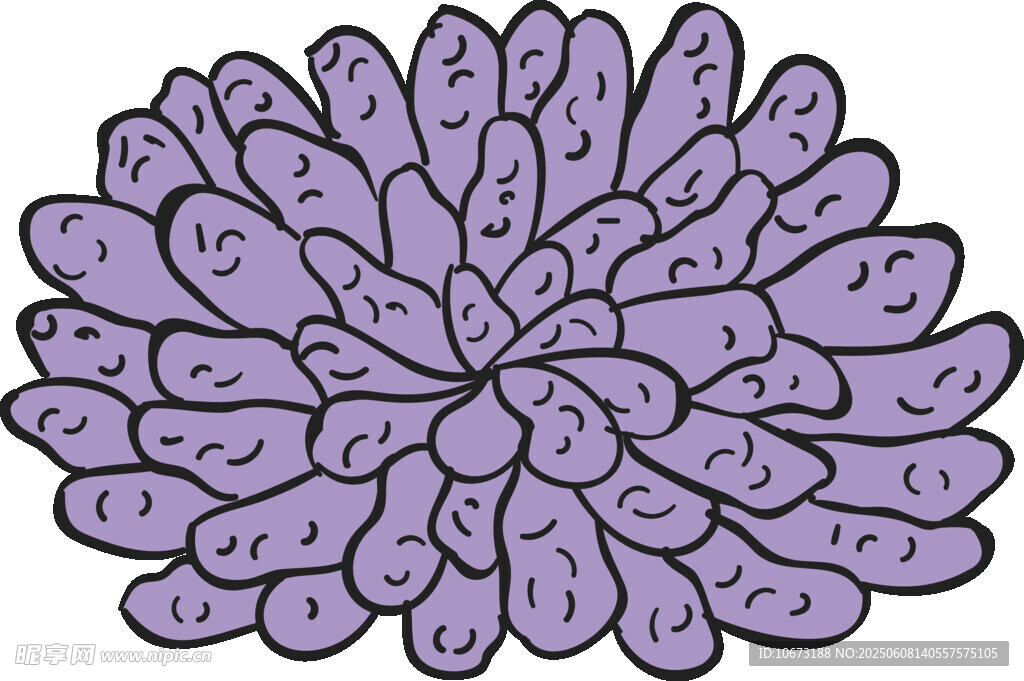 紫色菊花图案插画