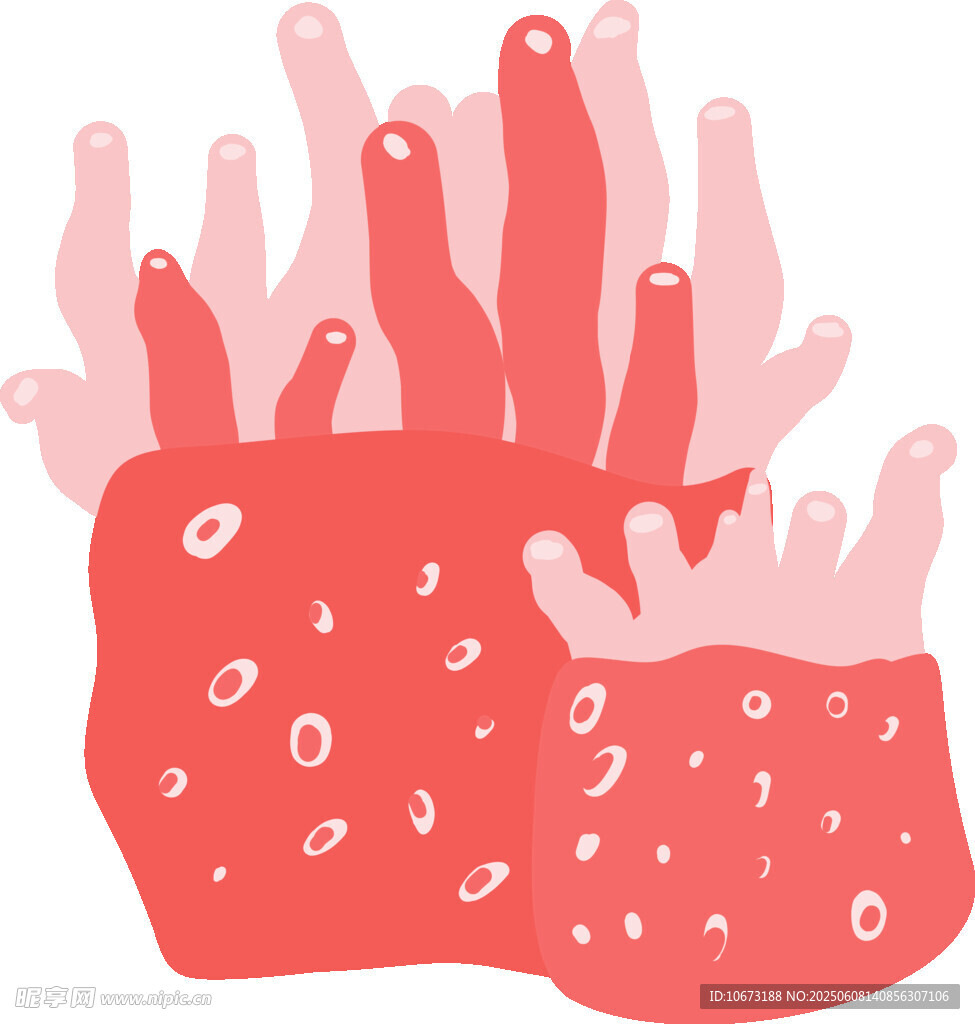 手绘红色珊瑚插画