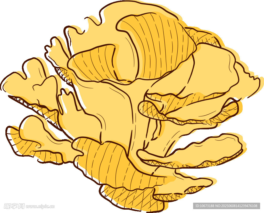 金黄褶皱菌类插画