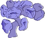紫色花朵插画
