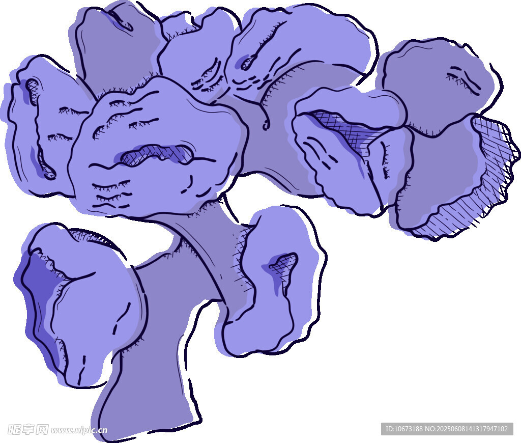 紫色花朵插画