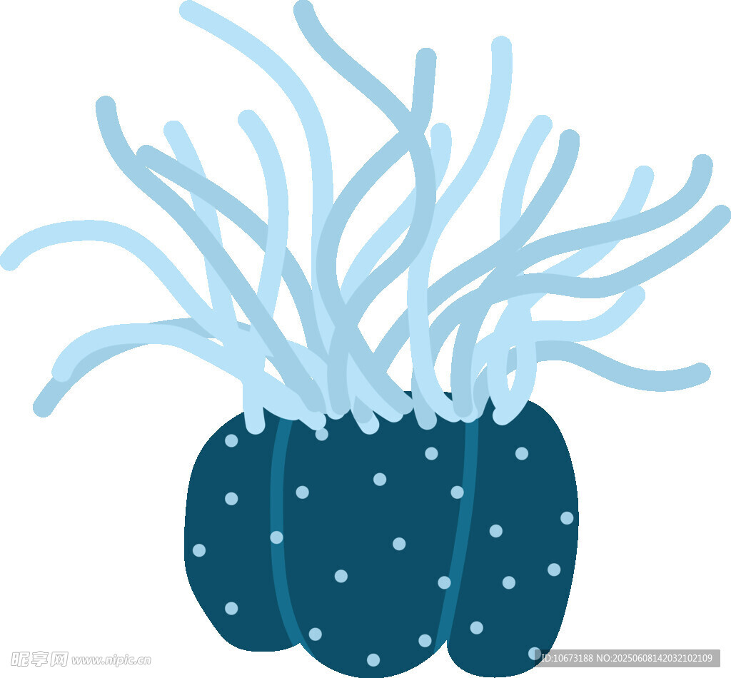 蓝色海葵插画