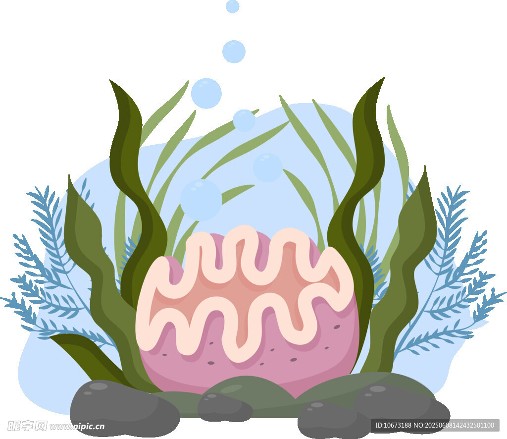 海底粉色贝壳与绿植景观