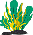 海底植物与礁石景观图