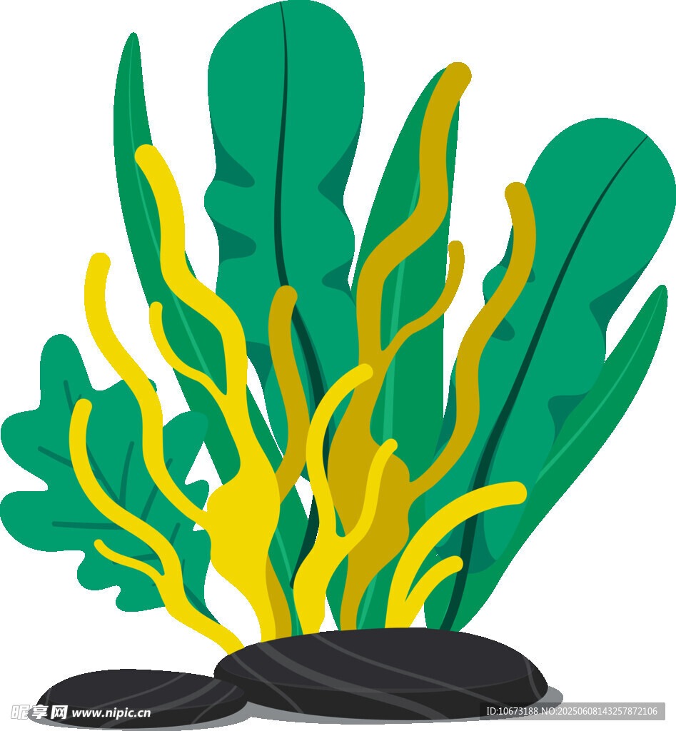 海底植物与礁石景观图