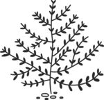 简约手绘植物枝叶图案