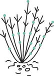 手绘简约植物插画元素