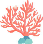 粉色珊瑚插画