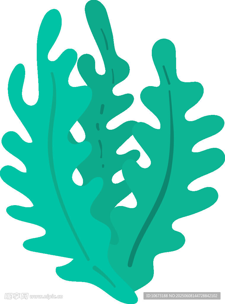 绿色海草插画