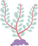 简约风植物插画