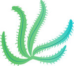 绿色带刺植物插画