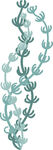 淡蓝色仙人掌植物图案