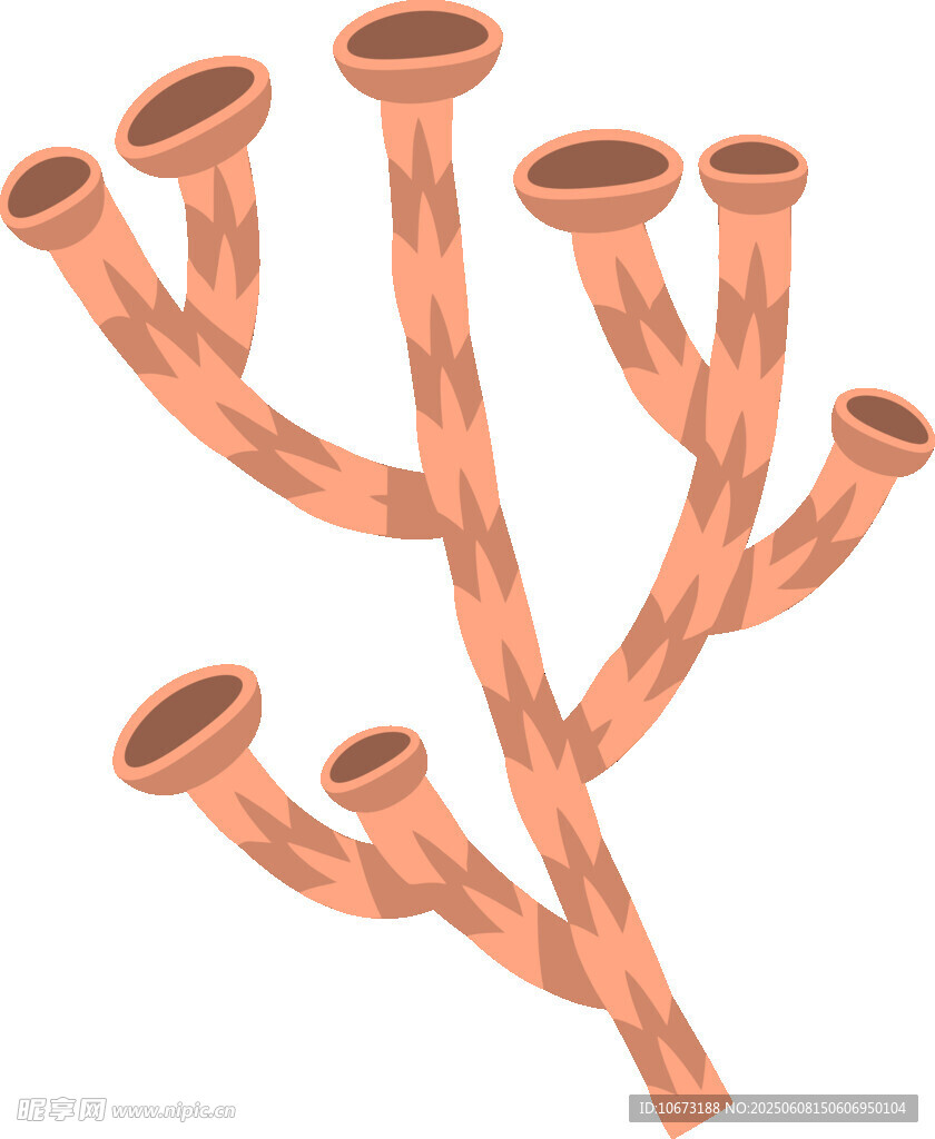 橙色树枝插画