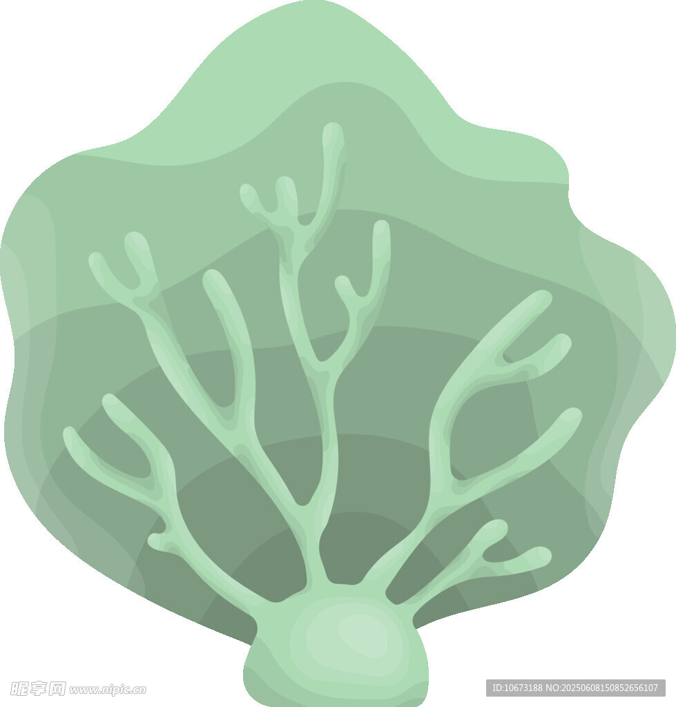 浅绿色海草插画
