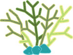 绿色珊瑚植物插画元素