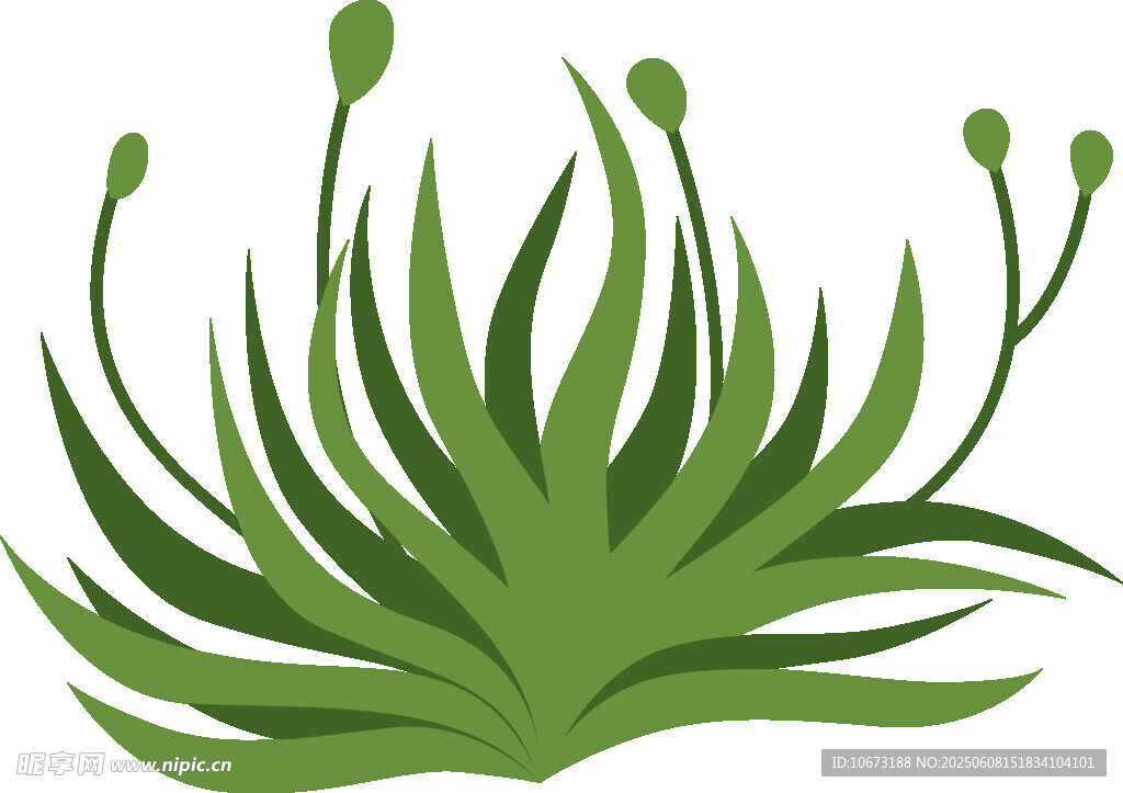 绿色草丛植物插画