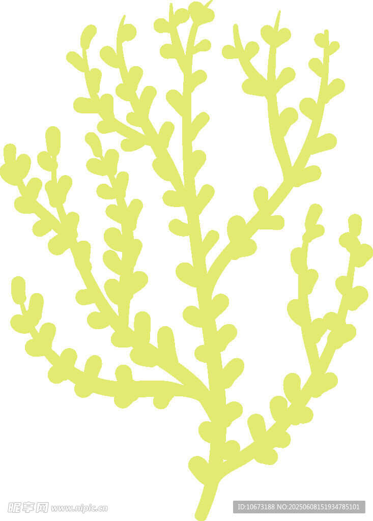 嫩绿枝叶植物图案
