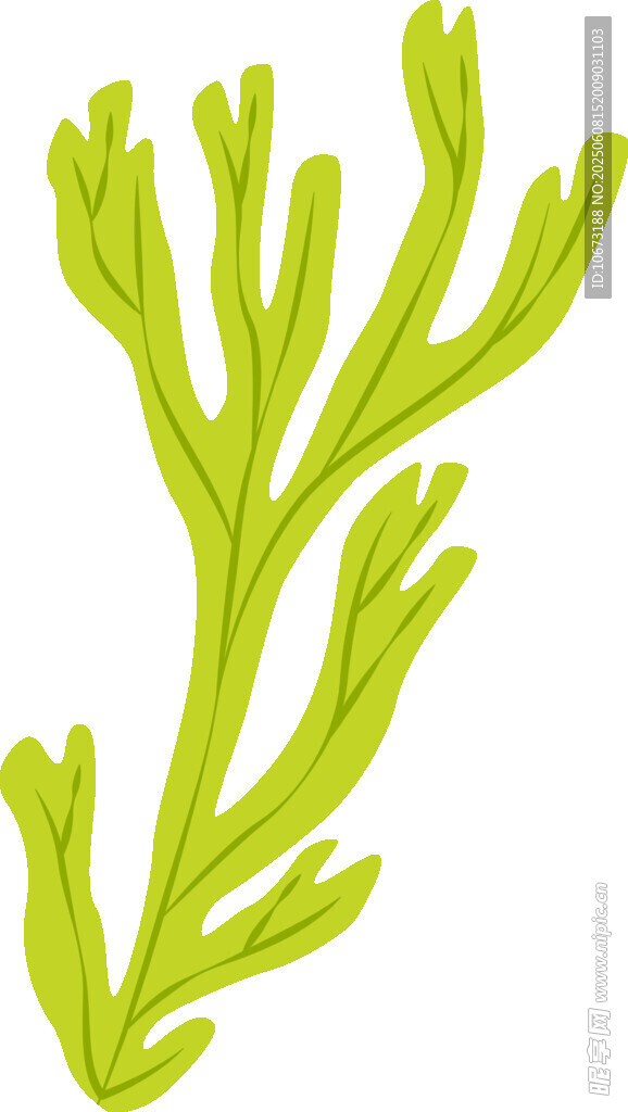 绿色海草插画