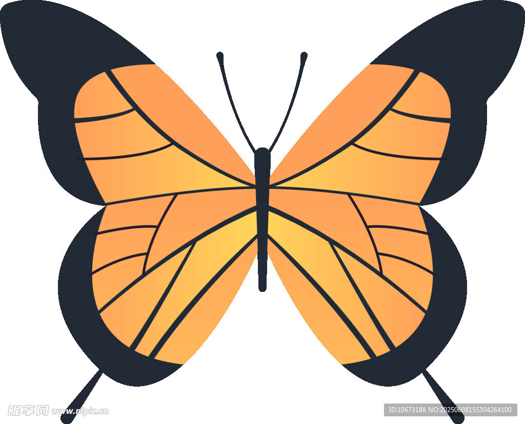 橙色蝴蝶插画