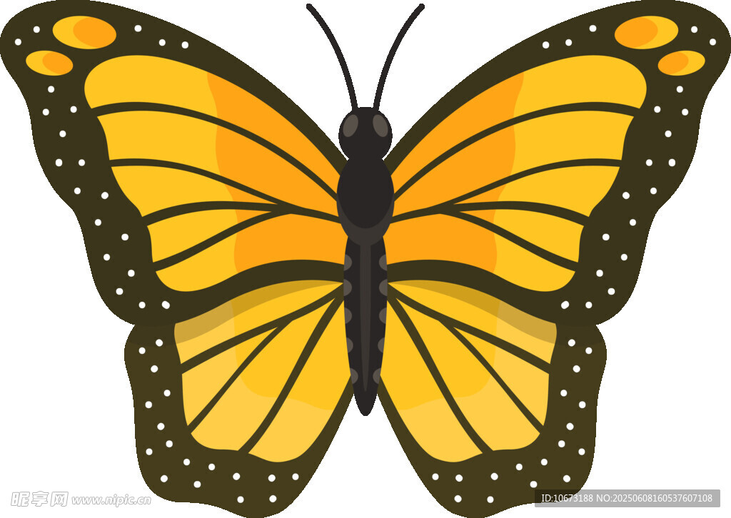 黄色蝴蝶插画