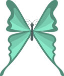 翠绿蝴蝶插画