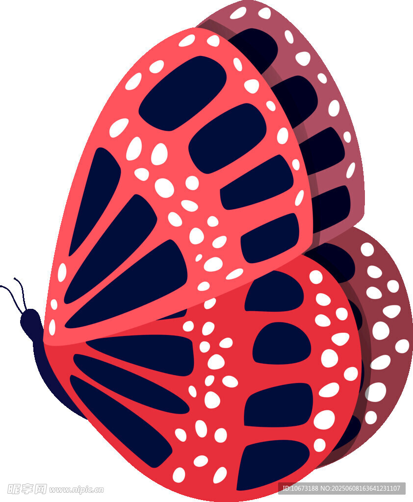 彩色蝴蝶插画