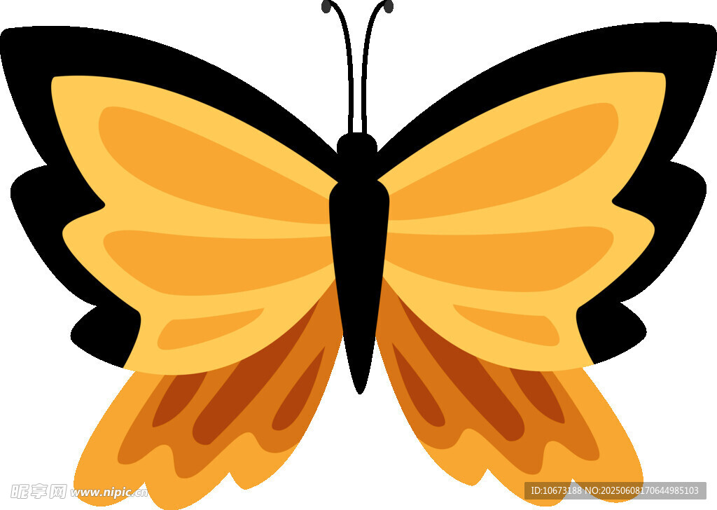 黄色蝴蝶插画